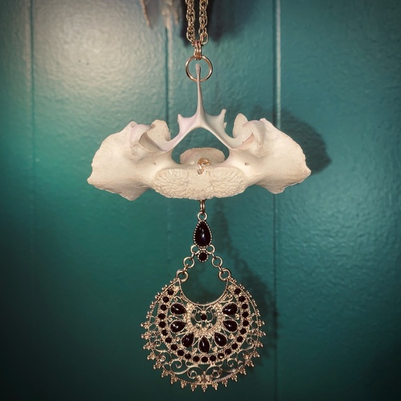 Bouquet Of Bones Jewelry - Deer Vertebrae Bone Black Rhinestone Golden Chain Necklace